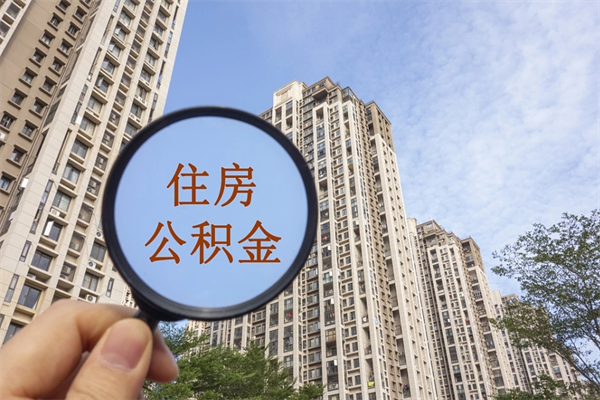 枣庄离职取出公积（离职取出公积金要什么手续）